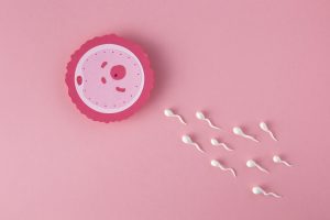 concepto-de-fertilidad-laicos-plana-con-fondo-rosa