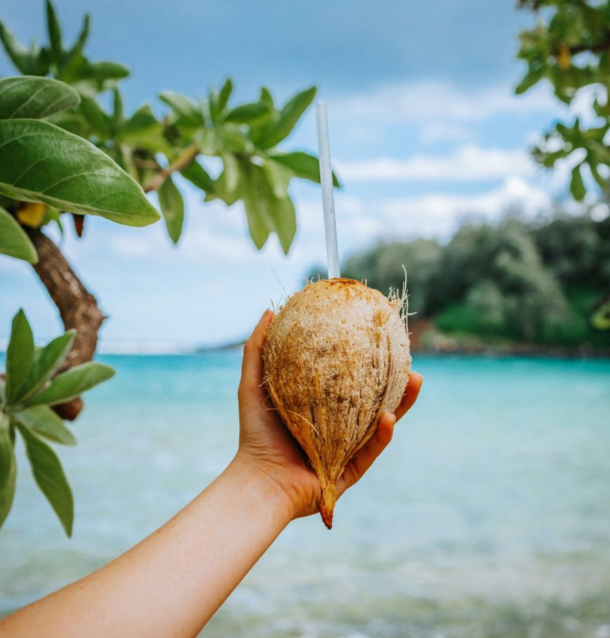 agua-de-coco-bebida-de-playa agua-de-coco-bebida-de-playa
